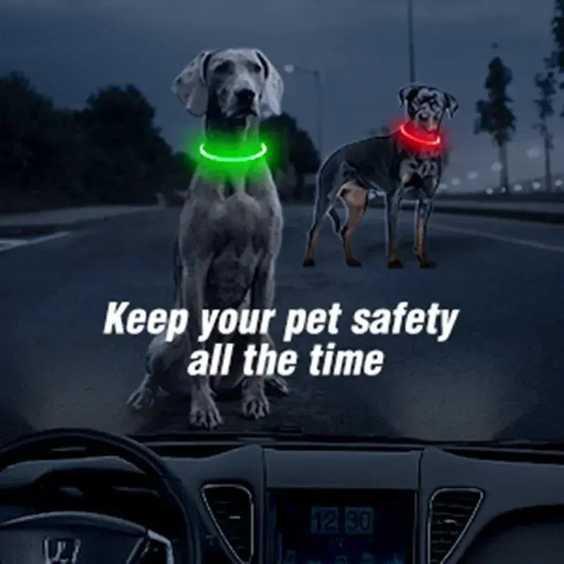 Safety Flashing Glow Dog Collar-Reflextive